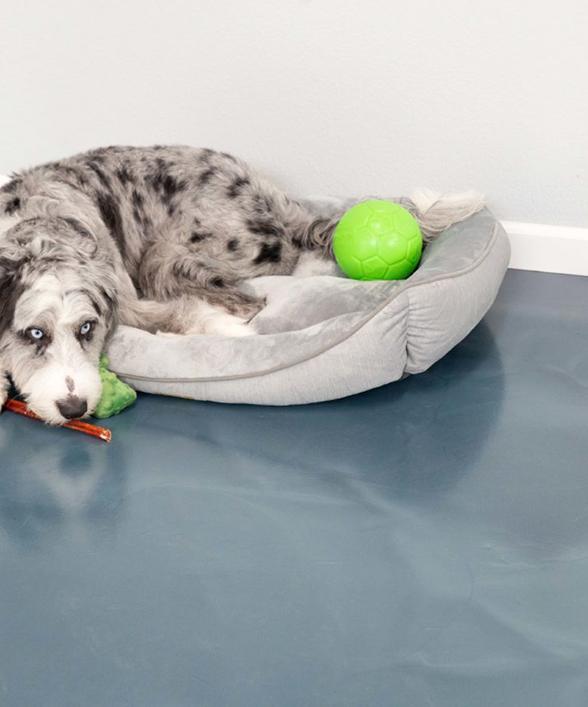 vet clinic epoxy floor